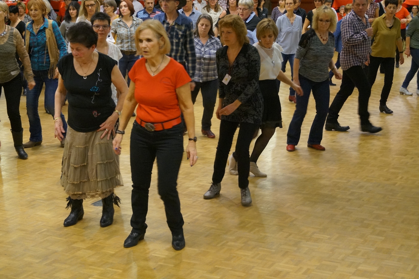 DSC04495 (1600x1067)